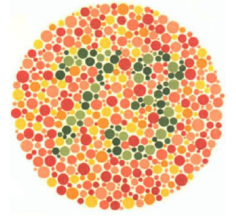 Plaka 17: Normal görüşlüler 73 görürler, kırmızı-yeşil renk körleri hiçbir sayı görmez veya bir sorun olduğunu düşünürler.