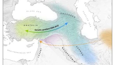 Genomik Analizler, Genetik Karışmanın Batı Asya'da Daha Önce Başladığını Gösteriyor!