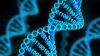 İnsanlık, Muazzam Miktarda Veri Üretiyor ve Bunları Depolamak İçin DNA-Temelli Belleklere İhtiyacımız Olacak!