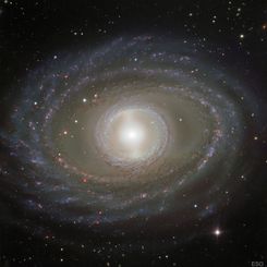  Ribbons and Pearls of Spiral Galaxy NGC 1398 