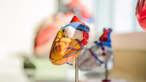 Postural Ortostatik Taşikardi Sendromu Nedir? Ayağa Kalkarken Deneyimlenen Kalp Çarpıntısı Ne Anlama Gelir?