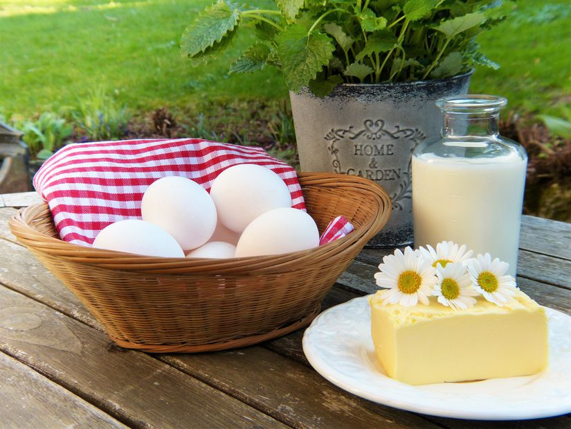 Süt, süt ürünleri ve yumurta kolinden zengin kaynaklardır