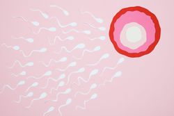 Bireyler ergenliklerinin başlarında çiftleşseler,taze salgılanan hormonlar daha verimli sperme sebep olur mu? Gelecek nesile daha çok katkı sağlar mı?