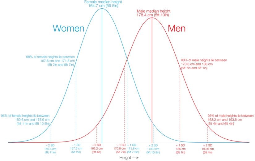 Erkekler için boy ortalaması 178.4 santim, kadınlar içinse 164.7 santimdir. Bu nedenle grafikte iki ayrı eğri görüyorsunuz.