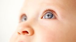 Gözler Hiç Büyümez mi? Öldüğümüzdeki Göz Büyüklüğümüz, Doğdumuzdakiyle Aynı Olabilir mi?