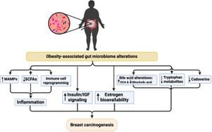 Fighting Obesity And Carcinogens Requires Unified Efforts