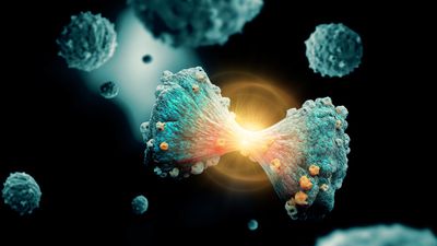 Nanoteknoloji, Mesane Kanseriyle Savaşta Etkili Bir Silah Olabilir!