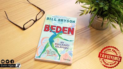Kitap Tanıtımı ve 1. Bölümün Tamamı: Beden - Bir Kullanıcı Kılavuzu (Bill Bryson)