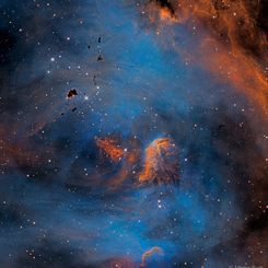  Stars and Globules in the Running Chicken Nebula 