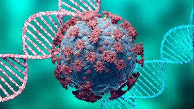 SARS-CoV-2 İnsan Hücrelerine Nasıl Giriyor? Kendini Nasıl Kopyalıyor? Delta Varyantı Bağışıklık Sistemini Nasıl Atlatabiliyor?