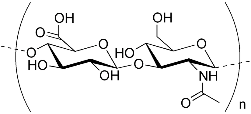 Hyalüronik asitin tekrar eden molekülü. Parantezin altındaki