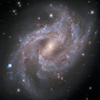 NGC 2525’teki Süpernova