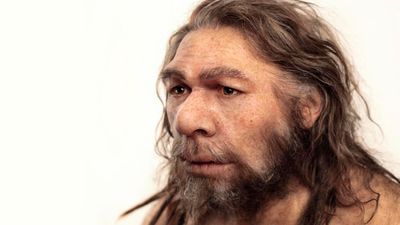 Neandertallere Ne Oldu?