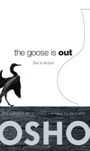 The Goose is Out: Zen in Action