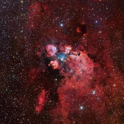  NGC 6334: The Cat's Paw Nebula 