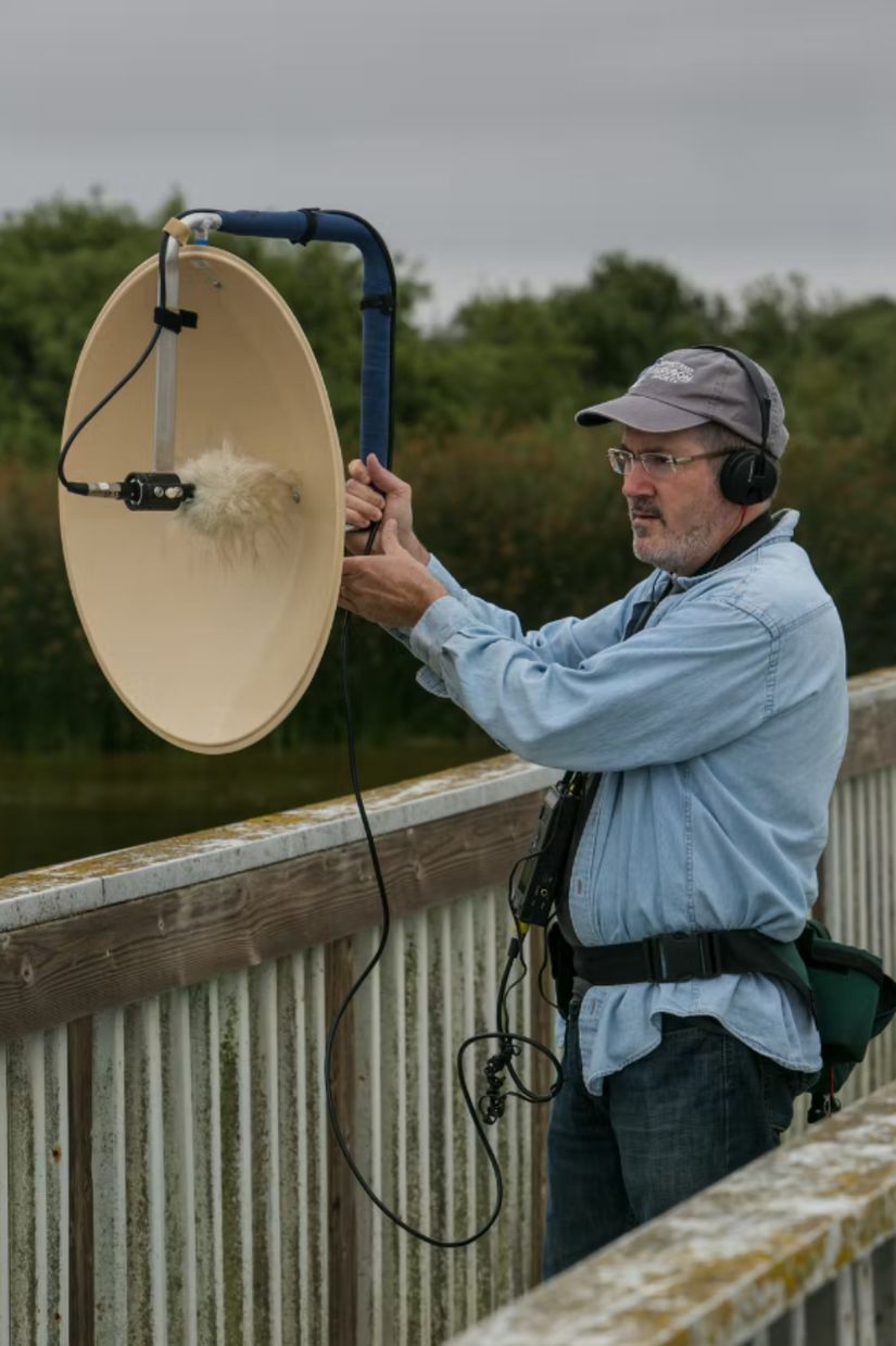 Bir kuş gözlemcisi, kuş şarkılarını toplamak için bir parabolik ses mikrofonu kullanıyor.