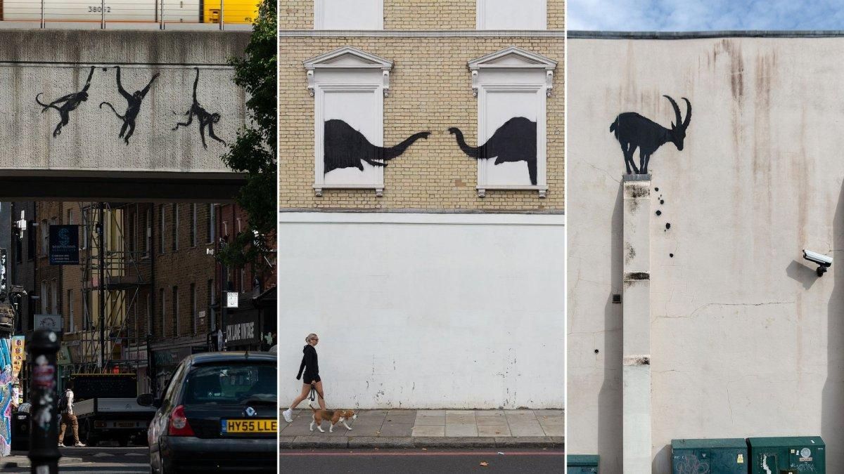 Banksy paints urban jungle while cat artwork is removed hours later