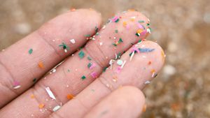 Are New Regulations On Microplastics Effective?