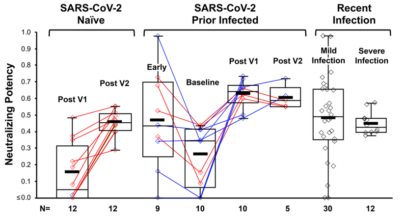 SARS-CoV-2 mızrak proteinine karşı anti-RBD antikorlarının nötralize etme gücü