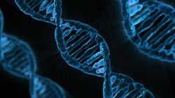 DNA'nın Yapısı Nasıldır? 
