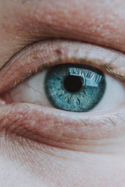 Göz rengimizin dünyayı nasıl gördüğümüzle bir bağlantısı var mı?