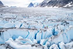 Grönland'ın Buz Tabakası Eriyor ve Yerini Bitki Örtüsü Alıyor