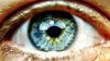 Gözün Parçaları: Göz Nasıl Çalışır?