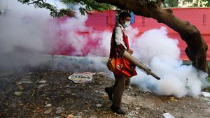 Dengue Fever Cases Surge Across India And South Asia