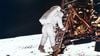 Benim İçin Küçük, İnsanlık İçin Büyük Bir Adım: Neil Armstrong'un Ay'daki İlk Sözleri Tam Olarak Neydi?
