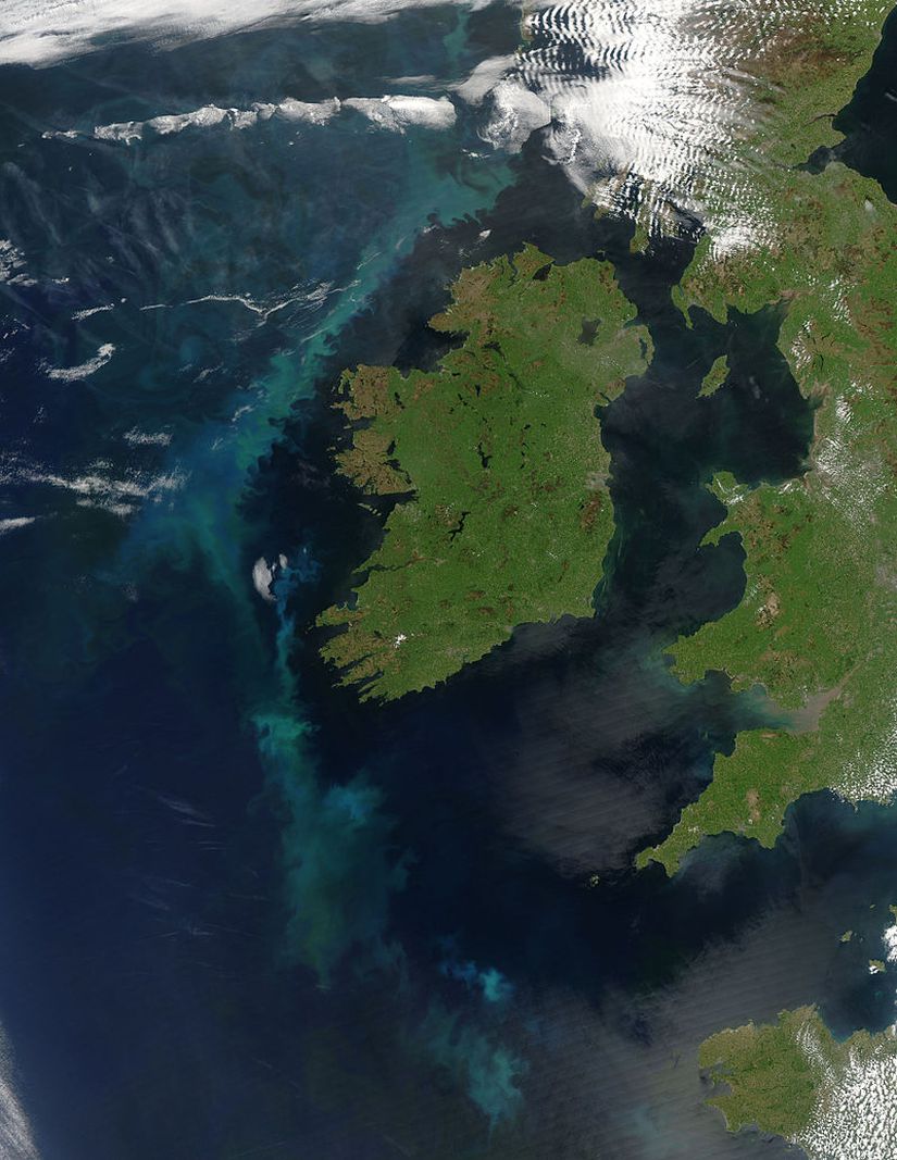 İrlanda kıyılarında plankton bulutu. Fitoplankton atmosferdeki gazları düzenleyerek küresel iklimi etkilemektedir.