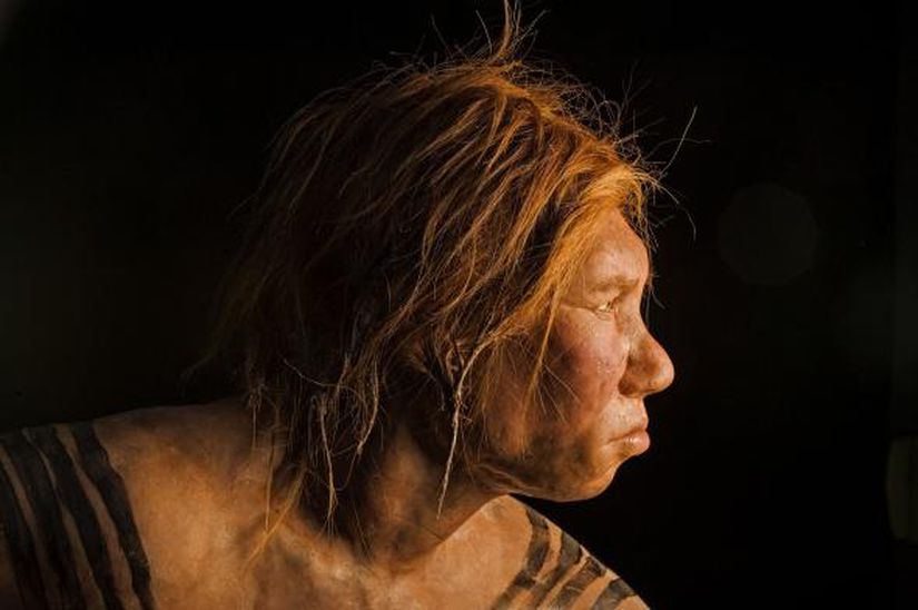 Neanderthal kadını rekonstrüksiyonu