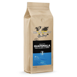 Guatemala Finca Kalibus La Sierra Yöresel Kahve 1000 gr.
