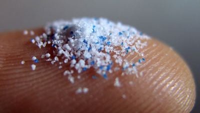 Mikroplastik Nedir? Canlılara ve Çevreye Nasıl Zarar Verir?