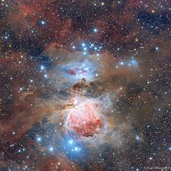  Dust of the Orion Nebula 