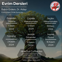 Evrime Giriş Dersleri