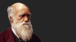 Darwin'in, Hiçbir Zaman Gözün Evrimleşemeyeceğini "İtiraf" Etmedi!