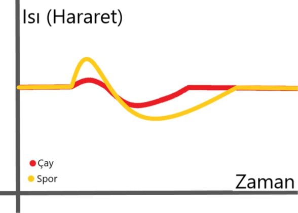 Çay ve spor yapmanın vücut sıcaklığı üzerindeki etkisi