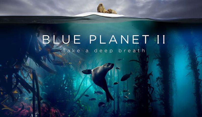 The Blue Planet 2 için hazırlanan bir tanıtım posteri.
