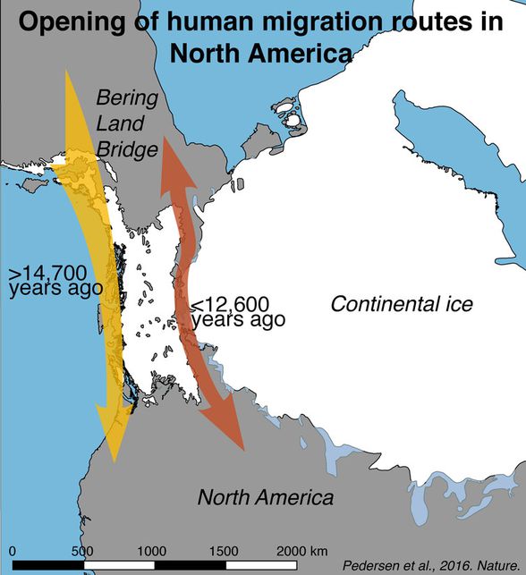 Buzul çağında Bering Boğazının görüntüsü ve insanların Amerika'ya doğru olan rotası.