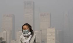 Yılda Yaklaşık Bir Milyon Ölü Doğumla Bağlantılı Hava Kirliliği