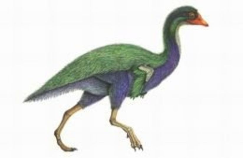 Patagopteryx