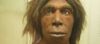 Neandertal Kadının DNA’sı Tarihi İç-Melezlemeyi Ortaya Çıkardı: İnsanlığın Gizemli Soyu