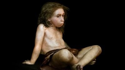 Antik İnsan Melezi: Anne Tarafı Neandertal, Baba Tarafı Denisovan