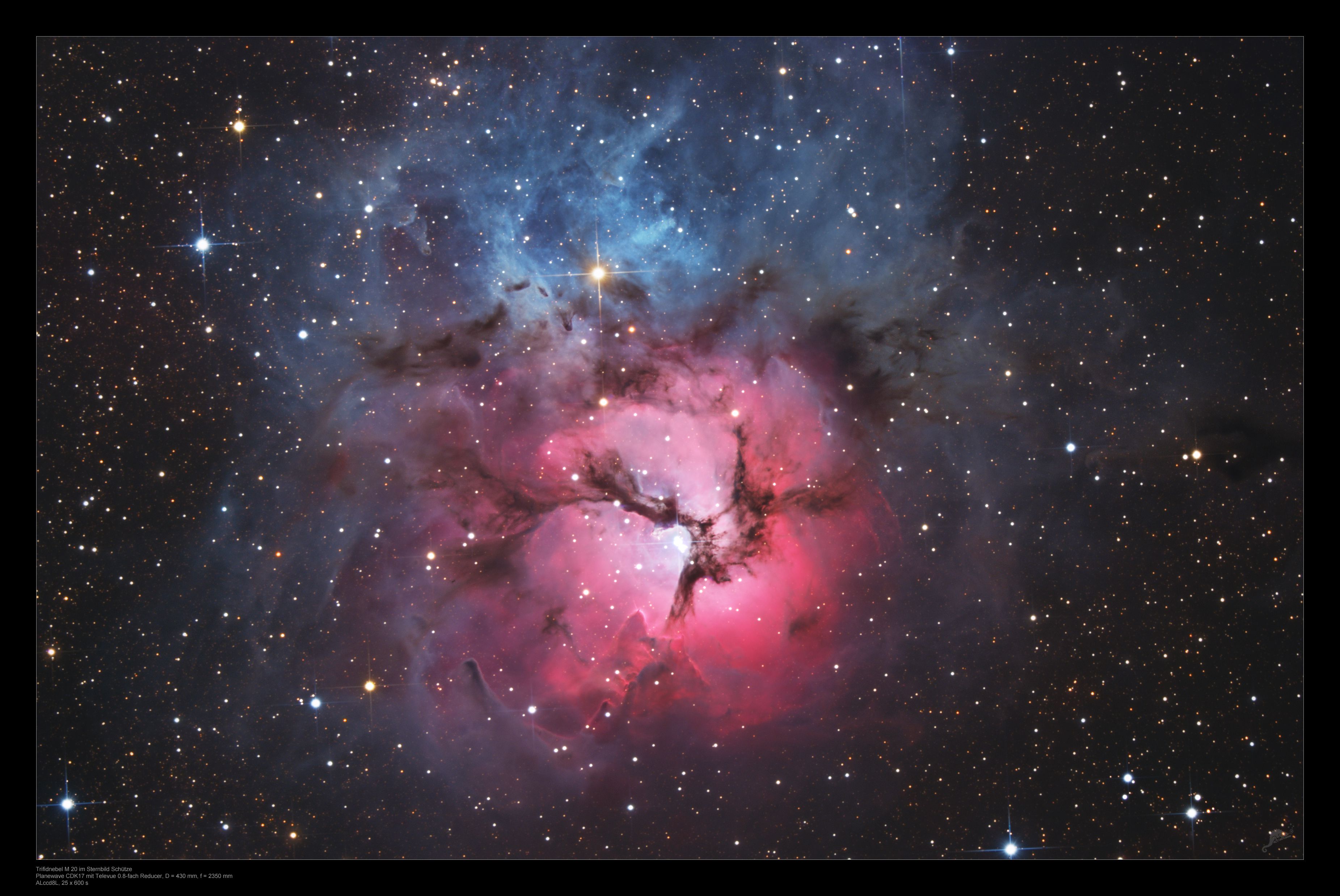  A Beautiful Trifid 