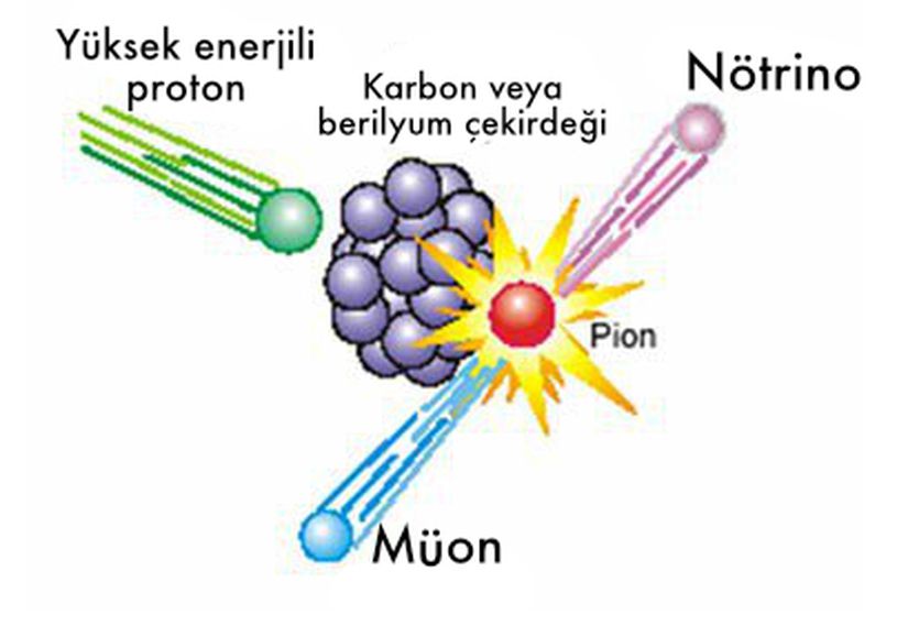 Parçacık hızlandırıcıda yüksek enerjili proton bombardımanı ile oluşturuluyor.