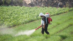 Environmental Protection Agency Bans Harmful Weedkiller Amid Health Concerns