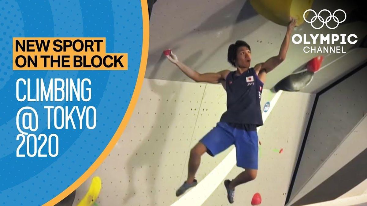 Sport Climbing Takes Center Stage At Paris Olympics The Pinnacle Gazette