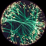 Evrim Ağacı Discord Soci Science Grubu