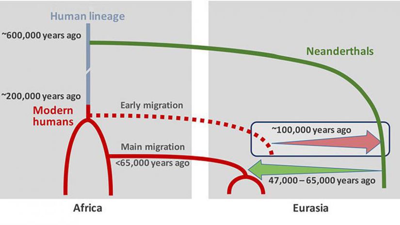 Neandertaller (yeşil) ve modern insanların (kırmızı), düşünülenden çok daha önce melezleştikleri görünüyor.
