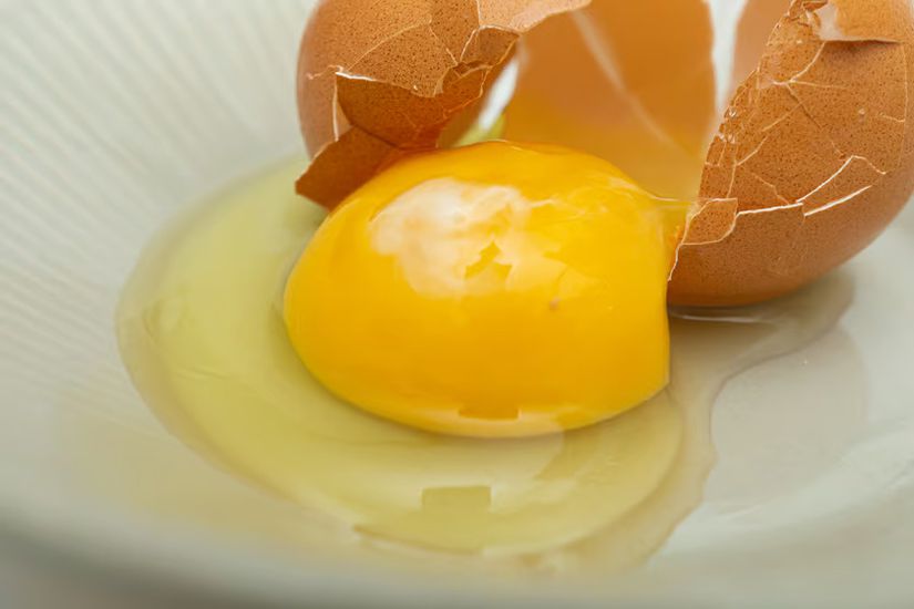 Yumurta sarısı.